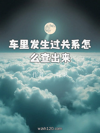 车里发生过关系怎么查出来