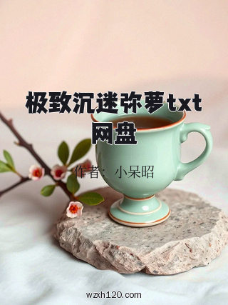 极致沉迷弥萝txt网盘