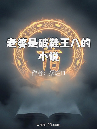老婆是破鞋王八的小说