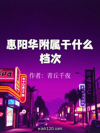 惠阳华附属于什么档次