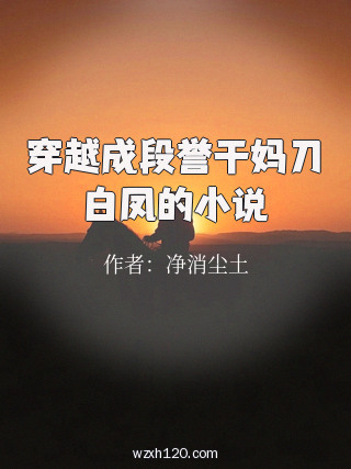 穿越成段誉干妈刀白凤的小说