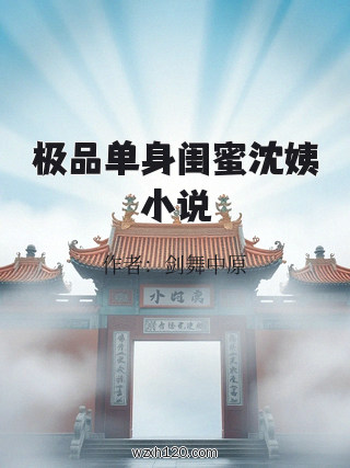 极品单身闺蜜沈姨小说