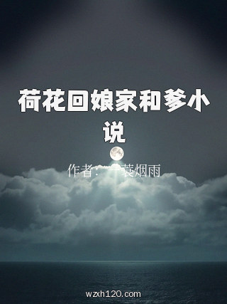 荷花回娘家和爹小说