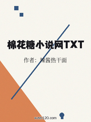棉花糖小说网TXT