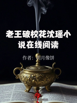 老王破校花沈瑶小说在线阅读