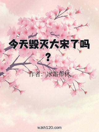 今天毁灭大宋了吗?