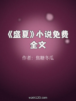 《盛夏》小说免费全文