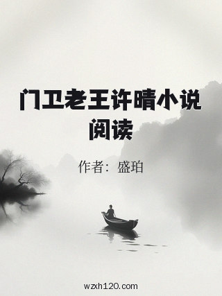 门卫老王许晴小说阅读