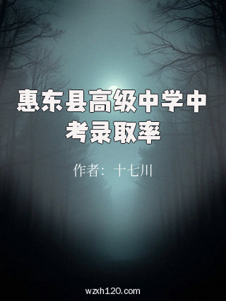 惠东县高级中学中考录取率