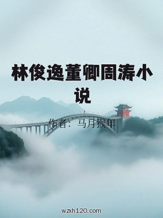 林俊逸董卿周涛小说