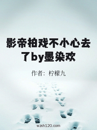 影帝拍戏不小心去了by墨染欢