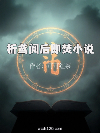 折鸢阅后即焚小说