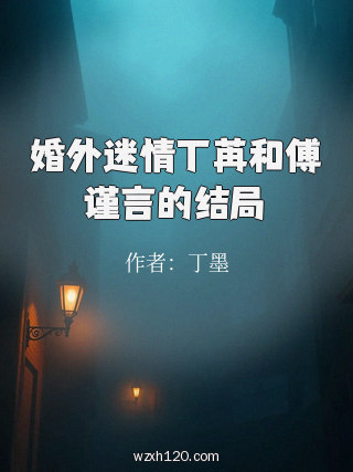 婚外迷情丁苒和傅谨言的结局