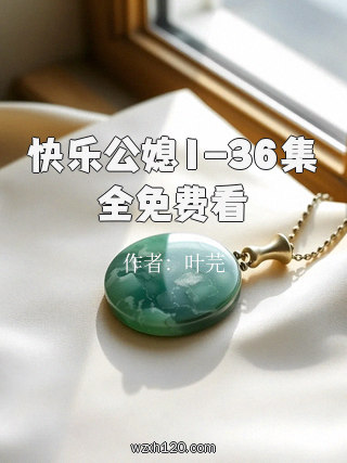 快乐公媳1-36集全免费看