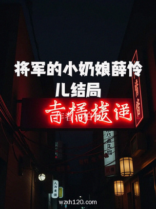 将军的小奶娘薛怜儿结局