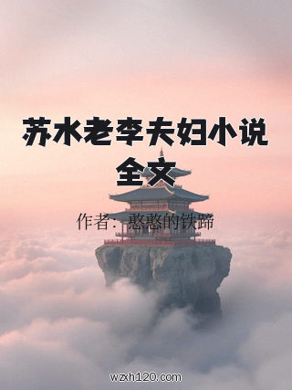 苏水老李夫妇小说全文