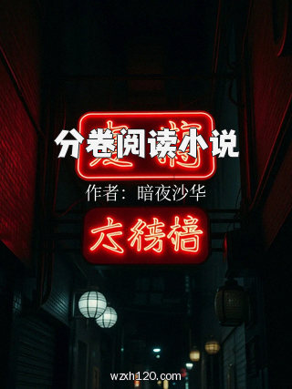 分卷阅读小说