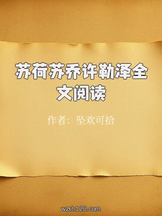 苏荷苏乔许勒泽全文阅读