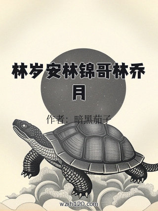 林岁安林锦哥林乔月