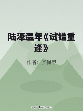 陆泽温年《试错重逢》
