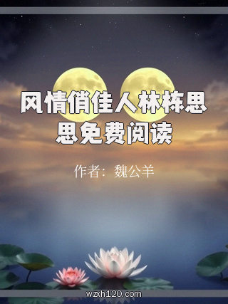 风情俏佳人林栋思思免费阅读