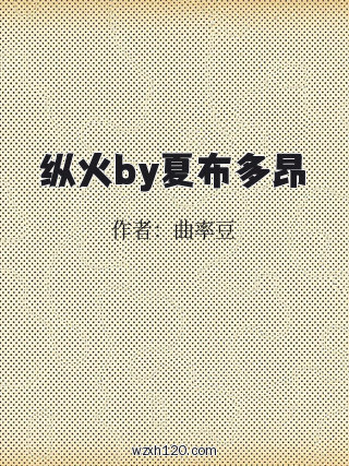 纵火by夏布多昂