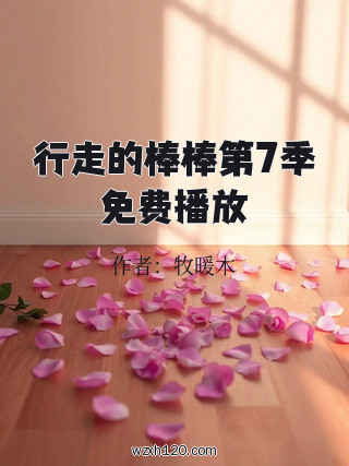 行走的棒棒第7季免费播放