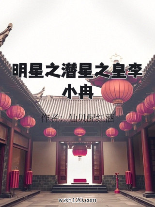 明星之潜星之皇李小冉