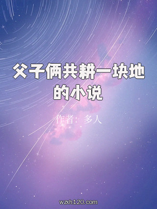 父子俩共耕一块地的小说