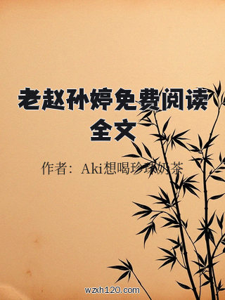 老赵孙婷免费阅读全文