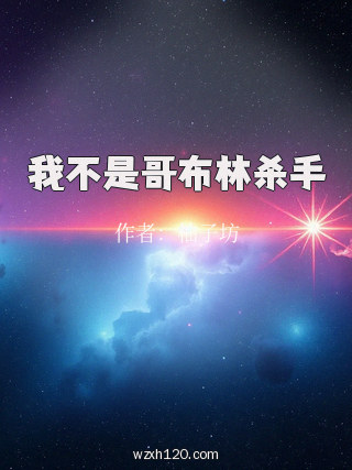 我不是哥布林杀手