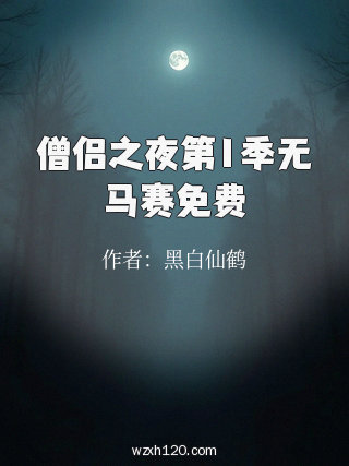 僧侣之夜第1季无马赛免费