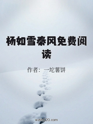 杨如雪秦风免费阅读