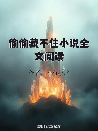 偷偷藏不住小说全文阅读