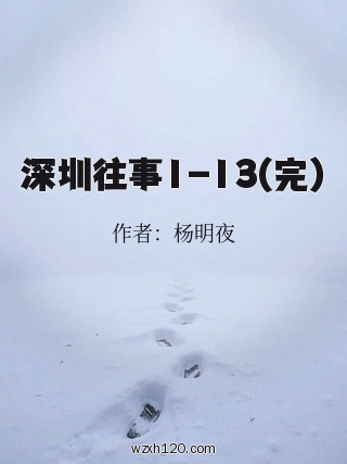 深圳往事1-13(完)