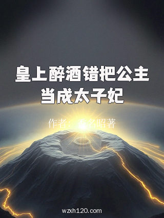 皇上醉酒错把公主当成太子妃