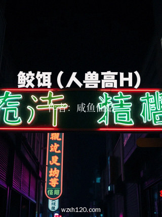 鲛饵（人兽高H）