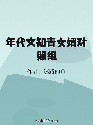 年代文知青女婿对照组