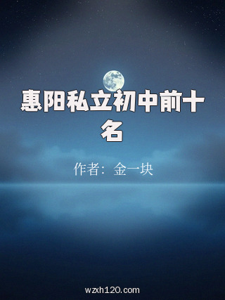 惠阳私立初中前十名