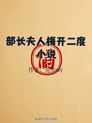 部长夫人梅开二度小说