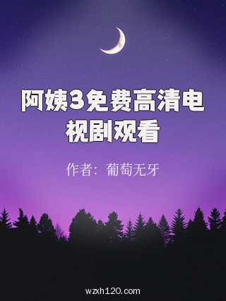阿姨3免费高清电视剧观看