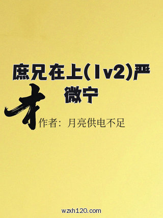 庶兄在上(1v2)严微宁