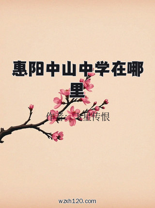 惠阳中山中学在哪里
