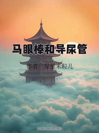 马眼棒和导尿管