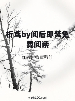 折鸢by阅后即焚免费阅读
