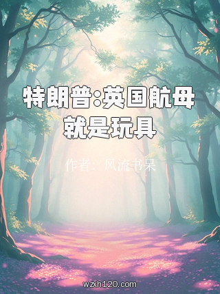 特朗普:英国航母就是玩具