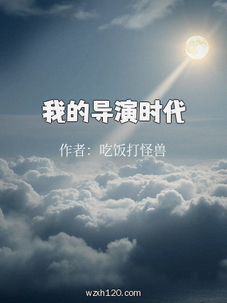 我的导演时代