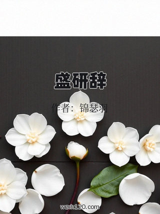 盛研辞