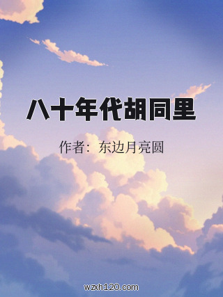 八十年代胡同里