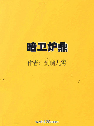暗卫炉鼎